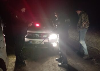 Doi angajați ai Întreprinderii pentru silvicultură Bălți, prinși cu mașina plină de sânge. Ar fi recurs la braconaj
