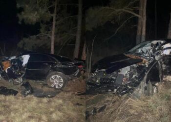 Un Linkoln, făcut zob, după ce a derapat de pe traseu și a zburat într-un copac, la Călărași: Șoferul ar fi pierdut controlul asupra volanului | FOTO