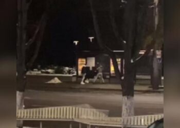 Incident în Capitală: Un tânăr, lovit cu pumnii și picioarele de alți doi, la o stație