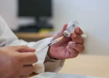 В Аргентине выявили западный лошадиный энцефалит у человека