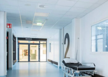 Petiție expediată Maiei Sandu de către angajații Spitalului Dermatologie și Maladii Comunicabile: Ne rezervăm dreptul de a declara grevă generală