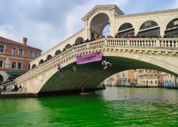 Activiştii de mediu au colorat în verde apa din Marele Canal din Veneţia