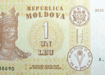 Concurs de design pentru simbolul leului moldovenesc, destinat studenților și profesioniștilor din domeniul designului grafic