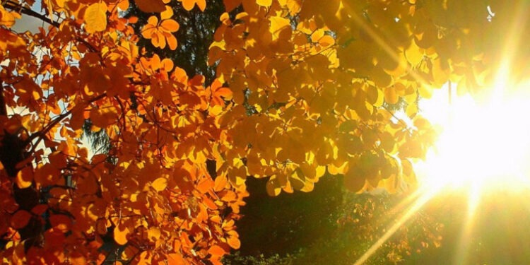 В Молдове на выходных ожидается до 16 °C тепла