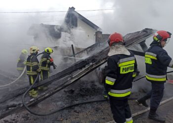 Incendiu la Colonița. A ars un garaj cu două mașini