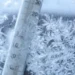 Iarna își intră în drepturi: La noapte ne așteaptă temperaturi de până la -7ºC la suprafața solului