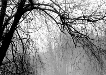 Cer înnorat și vreme calmă: O zi de iarnă liniștită ne așteaptă, spun meteorologii