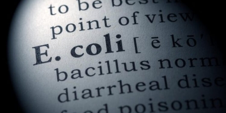 Un om a murit în Marea Britanie din cauza E.coli. Mai multe produse au fost retrase de la vânzare