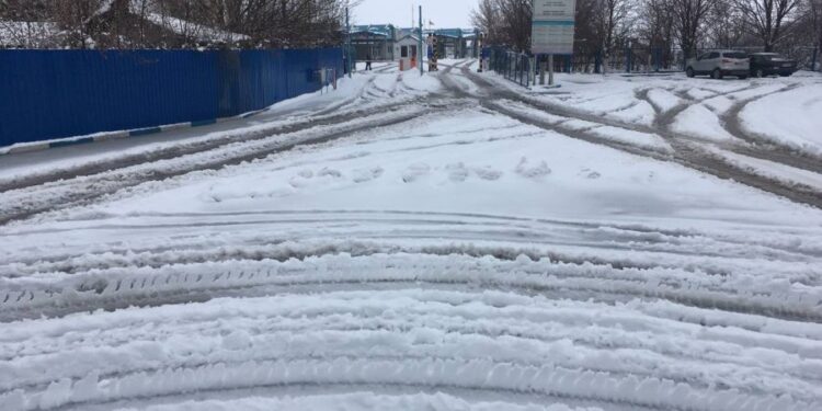 Сильный ветер и мороз: какой будет погода в субботу?