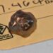 Французский турист нашел алмаз весом 7,46 карат в национальном парке США
