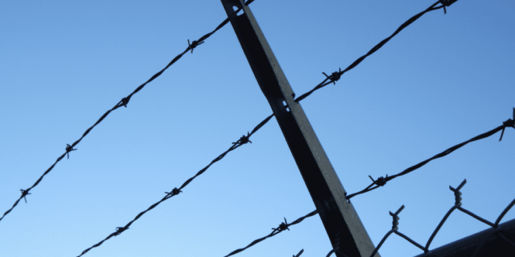 Пять молодых людей оказались на скамье подсудимых за торговлю наркотиками