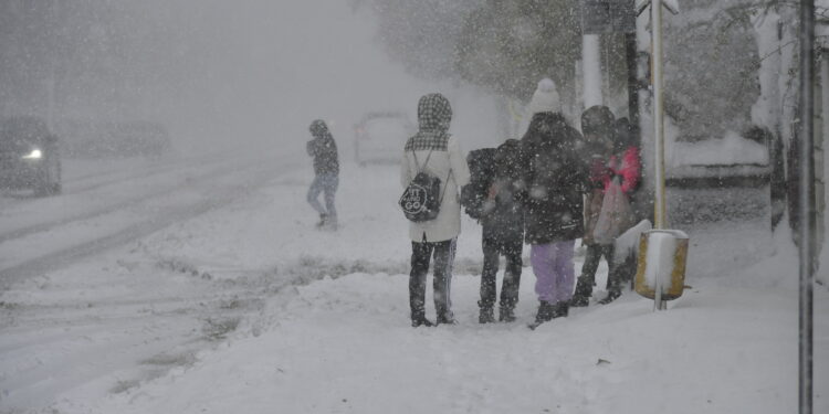 В Кишиневе продлили каникулы в школах и детсадах из-за снегопада. Движение общественного транспорта приостановлено
