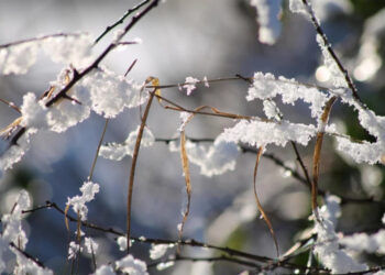 O zi fără precipitații semnificative. Prognoza meteo pentru astăzi