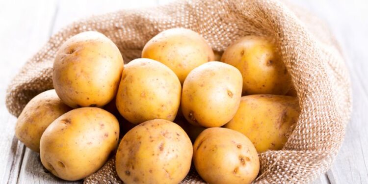 В Молдове вновь повысились оптовые цены на картофель