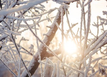 Zi însorită cu temperaturi plăcute pentru ianuarie: Cum ne surprinde vremea duminică