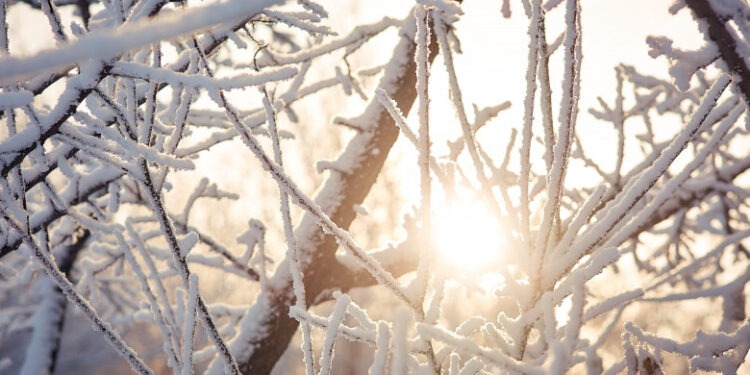 Zi însorită cu temperaturi plăcute pentru ianuarie: Cum ne surprinde vremea duminică