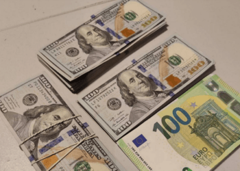 A încercat să introducă ilegal în R. Moldova 17 500 de dolari și 2 500 de euro. O rusoaică, documentată de autorități