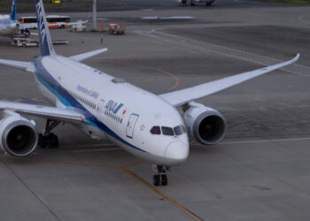 Avion întors din zbor după ce un bărbat a mușcat o stewardesă