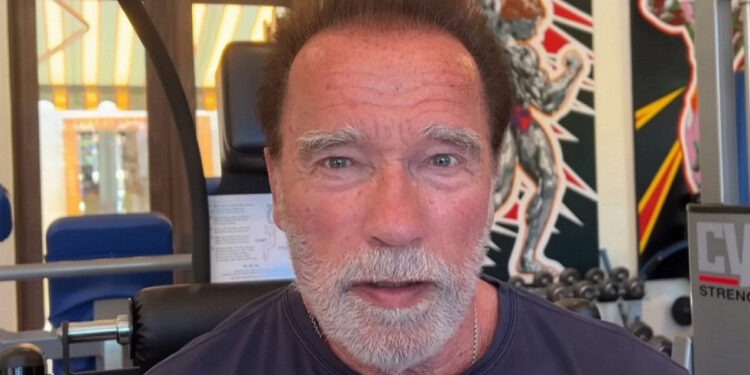 Шварценеггер продал за 270 тысяч евро часы, из-за которых его задержали на таможне. Деньги пойдут на благотворительность