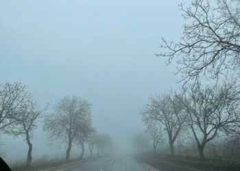 Ceață densă pe unele porțiuni de drum din Moldova. Recomandările poliției pentru șoferi
