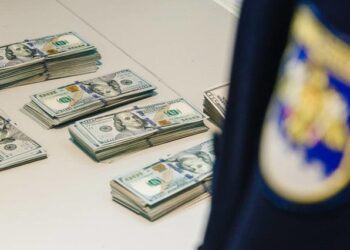 Valută în valoare de 30 de milioane de lei, reținută de funcționarii Serviciului Vamal în 2023