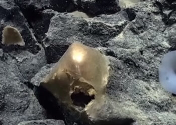 Misteriosul „glob de aur” găsit pe fundul oceanului. Oamenii de știință l-au studiat, dar nu reușesc să afle ce este