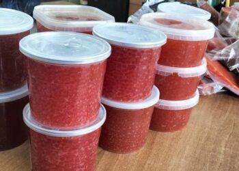 Un străin „a uitat” să declare la vamă că vrea să aducă în Moldova caviar și somon. Ce riscă