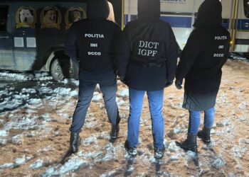 Lupte ilegale cu câini, organizate la Nisporeni: Un moldovean și 7 români, reținuți