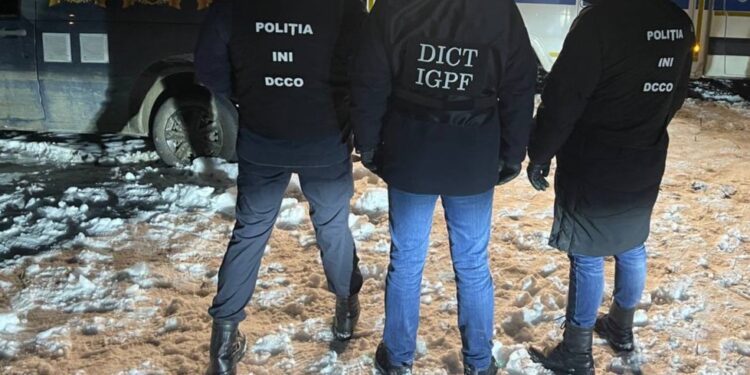 Lupte ilegale cu câini, organizate la Nisporeni: Un moldovean și 7 români, reținuți