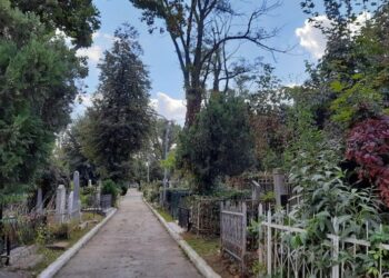 Фамилии на памятниках и фото могил. В Кишиневе оцифровали римско-католическое кладбище