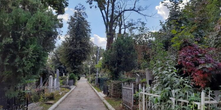 Фамилии на памятниках и фото могил. В Кишиневе оцифровали римско-католическое кладбище