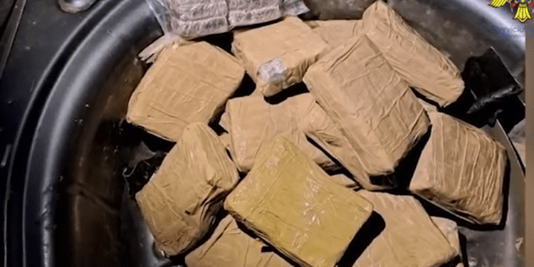 Contrabandă cu droguri și substanțe psihotrope. Serviciul Vamal a pornit anul trecut 51 de cauze penale