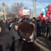 LIVE | Evenimente festive la Comrat cu ocazia Zilei Unității Naționale