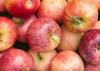 Экспорт молдавских яблок в январе 2024 года — один из самых низких за пятилетие