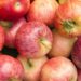 Экспорт молдавских яблок в январе 2024 года — один из самых низких за пятилетие