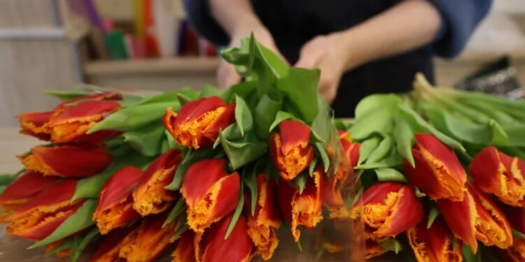 Налоговая проверит торговцев цветами и сектор HoReCa в День святого Валентина