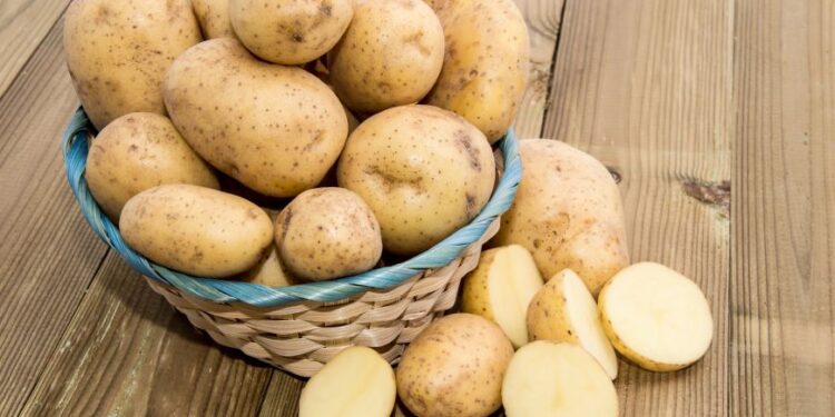 Картофель может подорожать: корнеплод закупает Украина