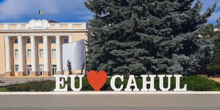 Cahul, în carantină pentru următoarele 45 de zile după un caz de pestă porcină
