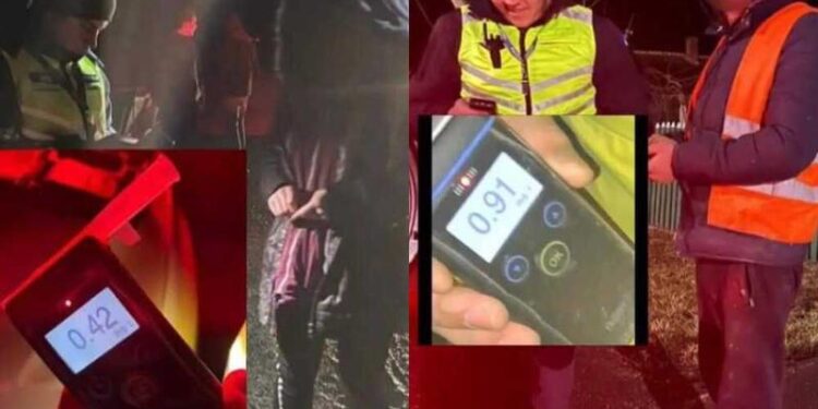 Le duceau caii acasă: Două căruțașe, prinse bete de oamenii legii pe drumurile din nordul țarii