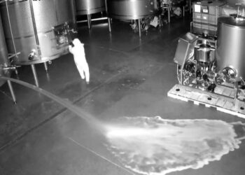 Un intrus a vărsat intenționat 60.000 de litri de vin în valoare de 2,5 milioane de euro la o cramă din Spania