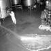 Un intrus a vărsat intenționat 60.000 de litri de vin în valoare de 2,5 milioane de euro la o cramă din Spania