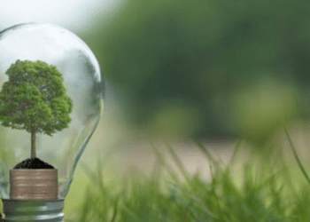 ANRE a aprobat tarifele fixe și prețurile plafon la energia electrică produsă din surse regenerabile: Când intră în vigoare