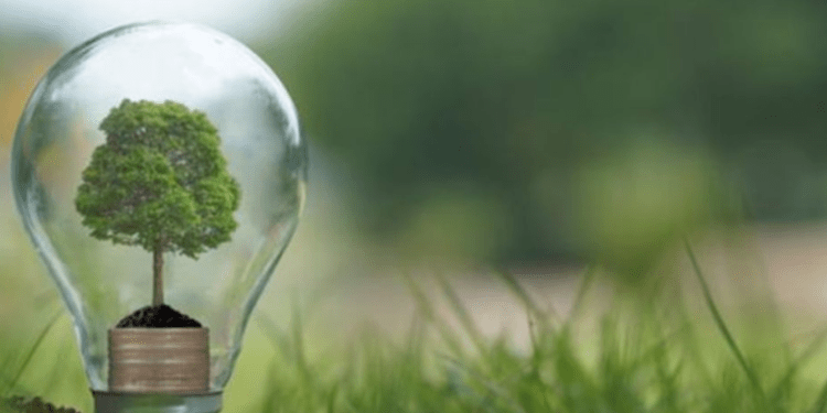 ANRE a aprobat tarifele fixe și prețurile plafon la energia electrică produsă din surse regenerabile: Când intră în vigoare