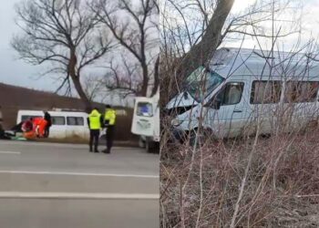 Un microbuz de rută, plin cu pasageri, s-a izbit de un copac, lângă Horești: Patru persoane, spitalizate
