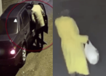 Мошенническая схема с «родственником, попавшим в ДТП»: новые жертвы аферистов