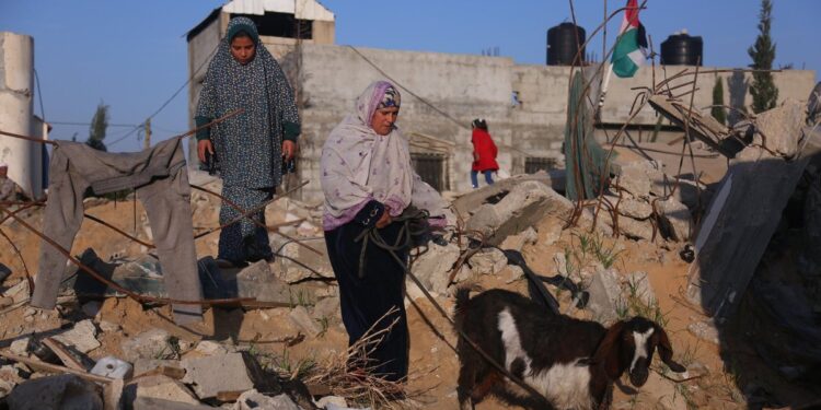 Эксперты ООН предупредили о нависшей угрозе массового голода в секторе Газа