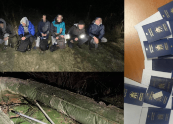 10 граждан Украины пытались незаконно пересечь границу с Молдовой: они заплатили за это около $80 000