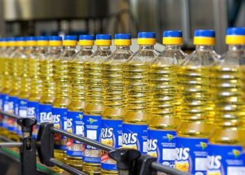 В Молдове крупнейший производитель растительного масла приостановил работу