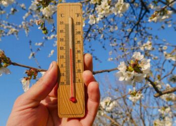 Температура поднимается до +19°C: прогноз погоды на сегодня, 24 марта