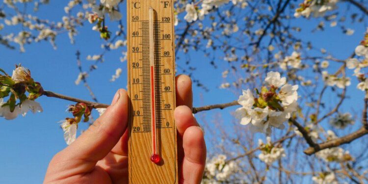 Температура поднимается до +19°C: прогноз погоды на сегодня, 24 марта